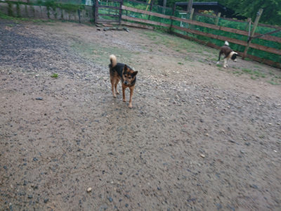 f:id:roukenhome-ann:20190823132611j:plain