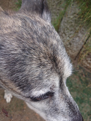 f:id:roukenhome-ann:20190823132625j:plain