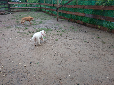 f:id:roukenhome-ann:20190823133108j:plain