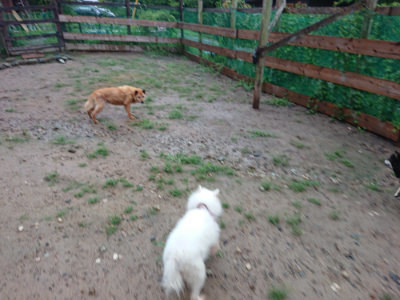 f:id:roukenhome-ann:20190823133215j:plain