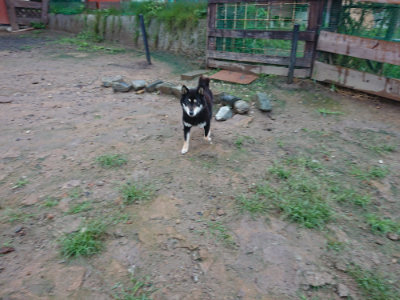 f:id:roukenhome-ann:20190823133303j:plain