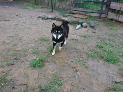 f:id:roukenhome-ann:20190823133324j:plain