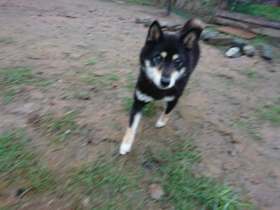 f:id:roukenhome-ann:20190823133330j:plain