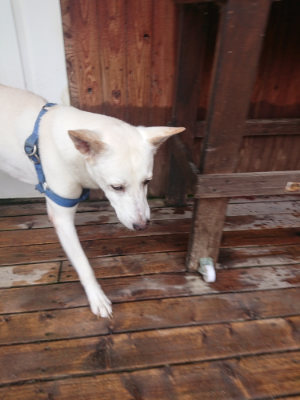 f:id:roukenhome-ann:20190823133558j:plain