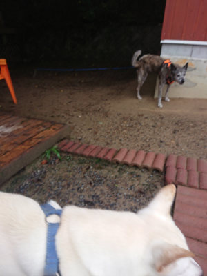 f:id:roukenhome-ann:20190823133604j:plain