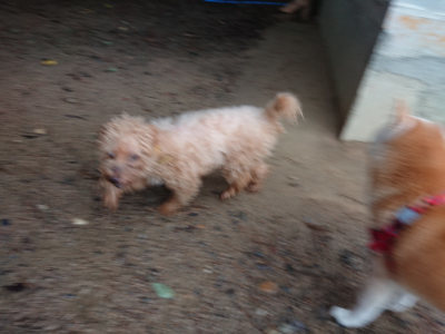 f:id:roukenhome-ann:20190823133831j:plain