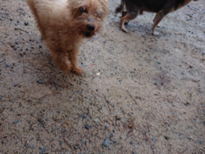 f:id:roukenhome-ann:20190823134230j:plain