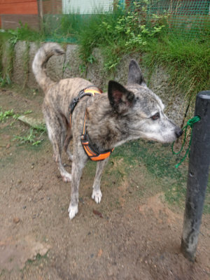 f:id:roukenhome-ann:20190823134259j:plain