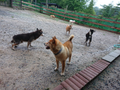 f:id:roukenhome-ann:20190823134307j:plain