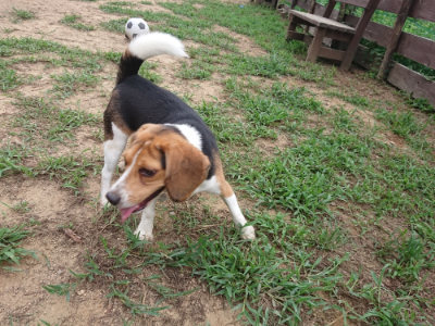 f:id:roukenhome-ann:20190823144432j:plain