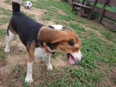 f:id:roukenhome-ann:20190823144434j:plain