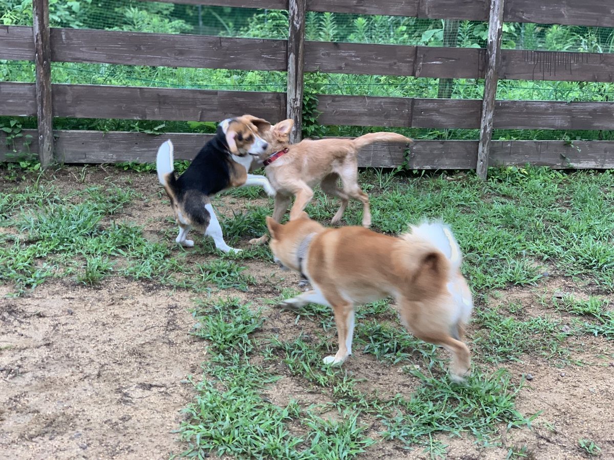 f:id:roukenhome-ann:20190823181421j:plain