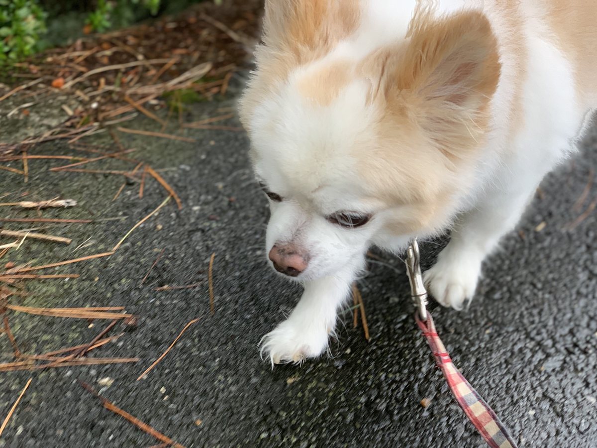 f:id:roukenhome-ann:20190823181504j:plain