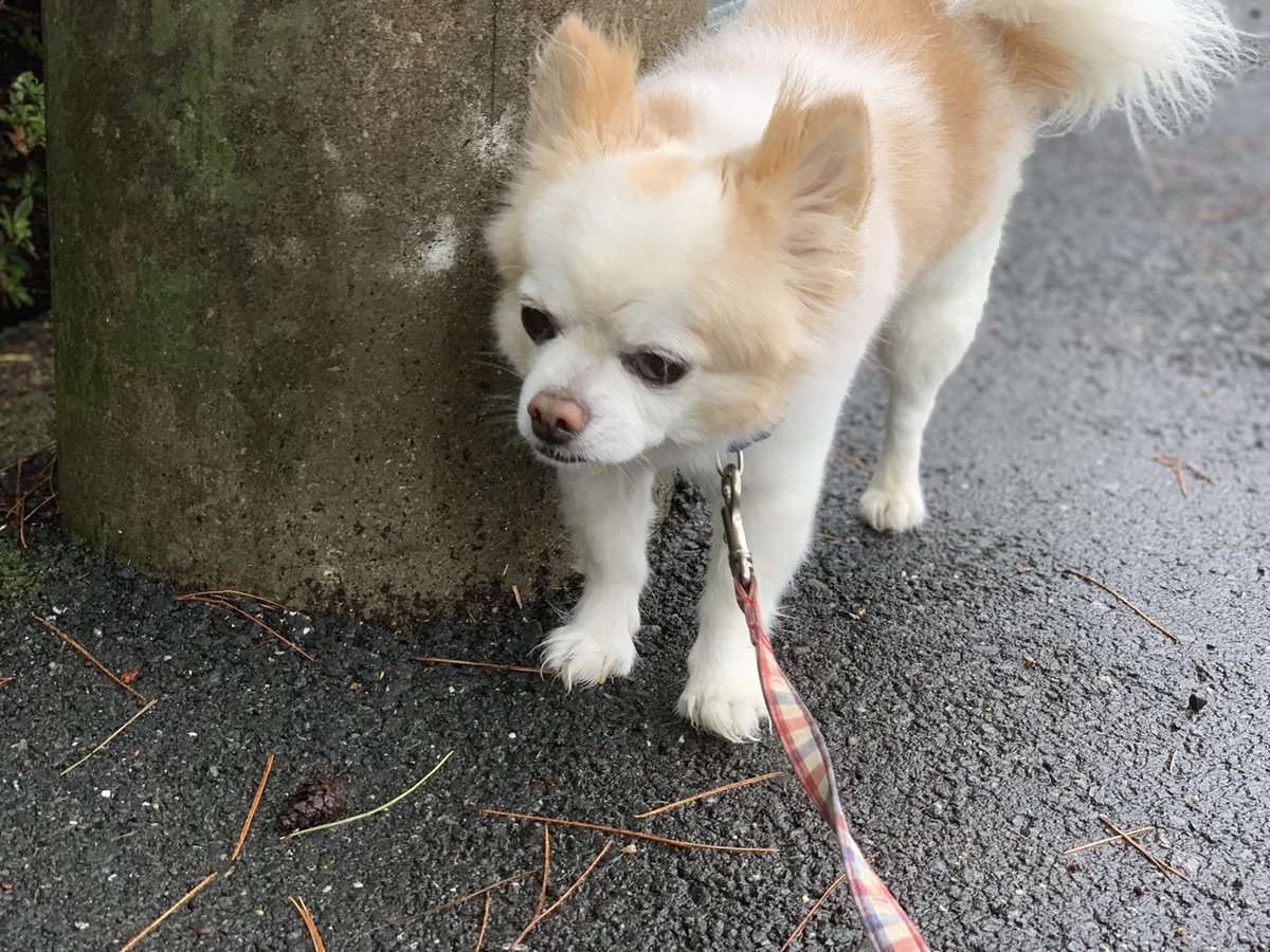 f:id:roukenhome-ann:20190823181516j:plain
