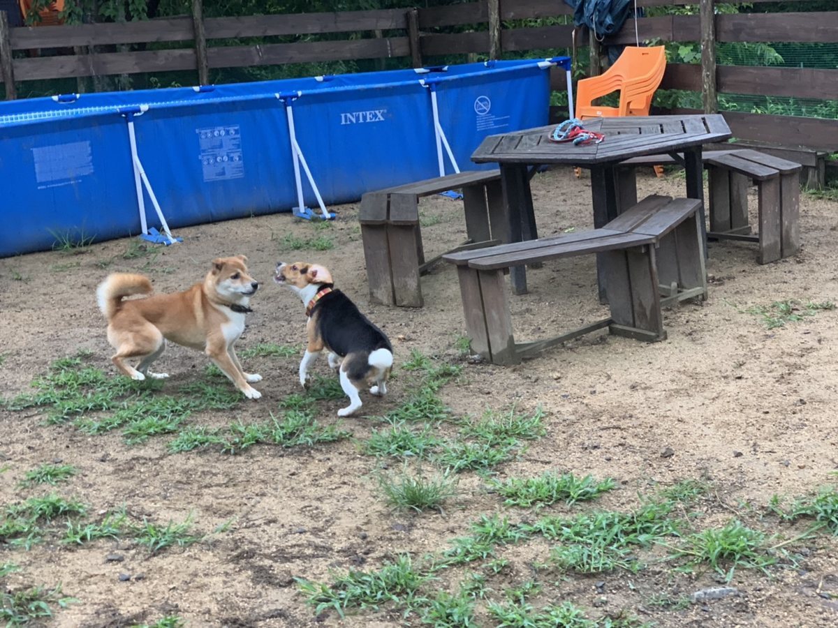 f:id:roukenhome-ann:20190823181542j:plain