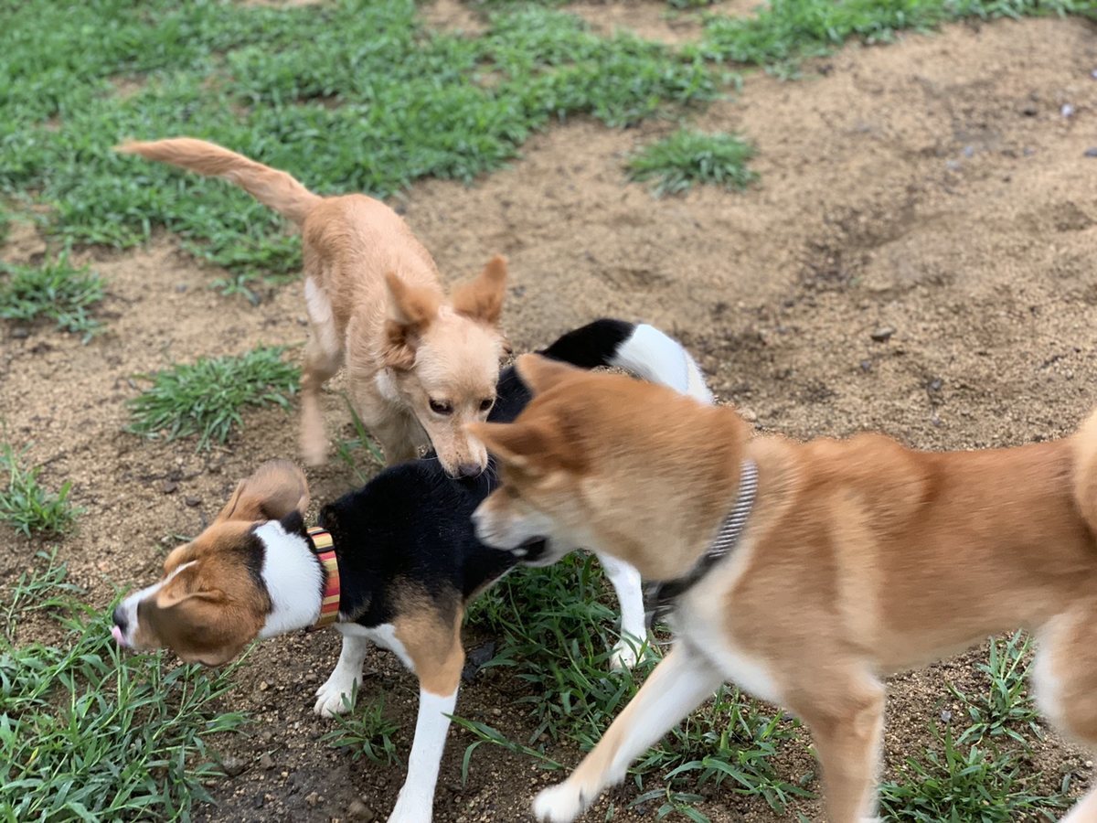 f:id:roukenhome-ann:20190823181554j:plain