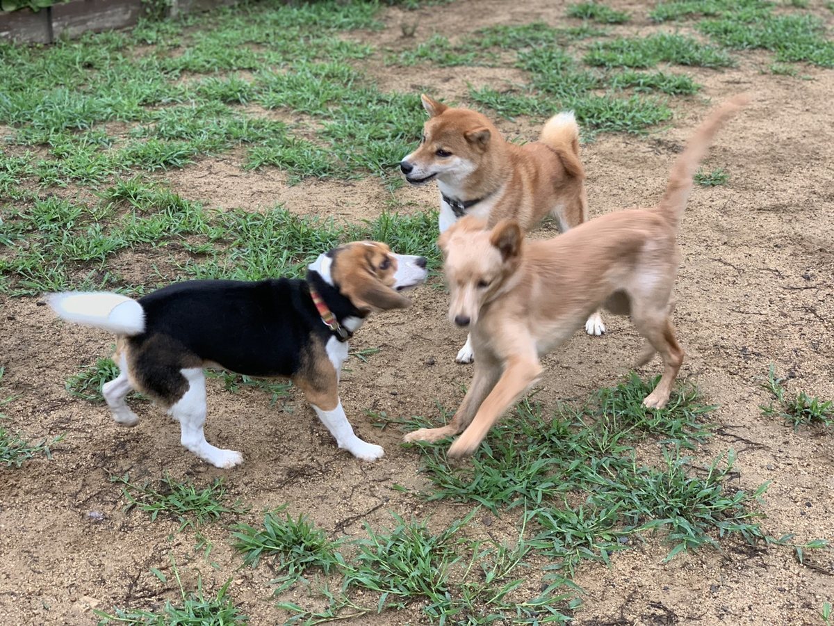 f:id:roukenhome-ann:20190823181610j:plain