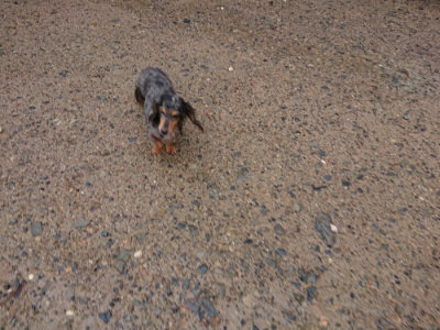 f:id:roukenhome-ann:20190823182049j:plain
