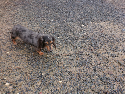 f:id:roukenhome-ann:20190823182055j:plain