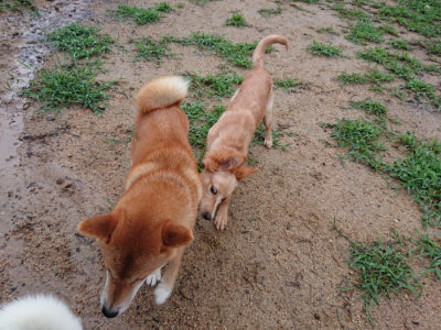 f:id:roukenhome-ann:20190823182226j:plain