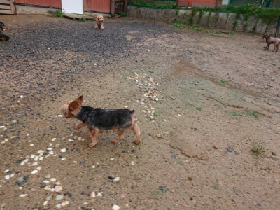 f:id:roukenhome-ann:20190823182248j:plain