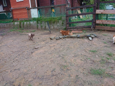 f:id:roukenhome-ann:20190823182304j:plain