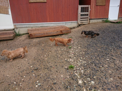 f:id:roukenhome-ann:20190823182326j:plain
