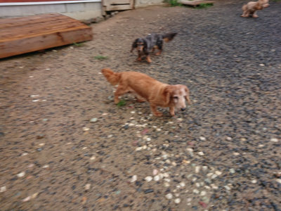 f:id:roukenhome-ann:20190823182332j:plain