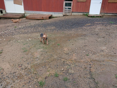 f:id:roukenhome-ann:20190823182413j:plain
