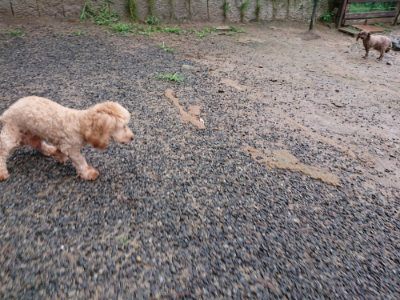f:id:roukenhome-ann:20190823182446j:plain
