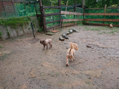f:id:roukenhome-ann:20190823182817j:plain