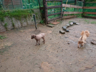 f:id:roukenhome-ann:20190823182826j:plain