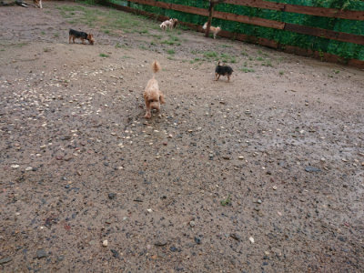f:id:roukenhome-ann:20190823182834j:plain