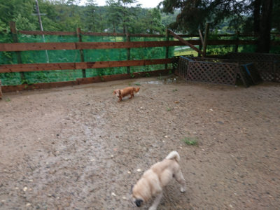f:id:roukenhome-ann:20190823182850j:plain