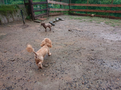 f:id:roukenhome-ann:20190823182859j:plain