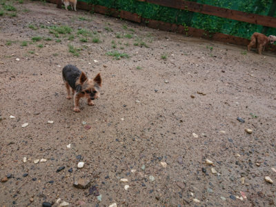 f:id:roukenhome-ann:20190823182958j:plain