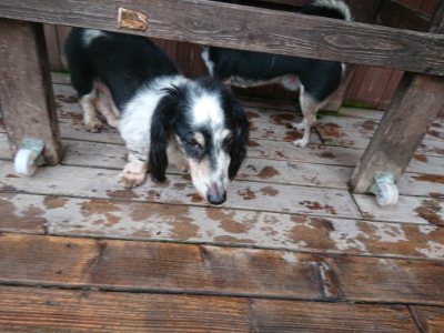 f:id:roukenhome-ann:20190823183024j:plain