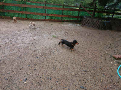 f:id:roukenhome-ann:20190823183747j:plain