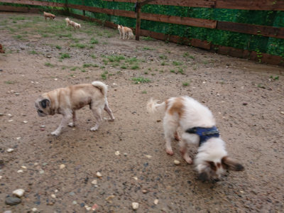 f:id:roukenhome-ann:20190823183840j:plain