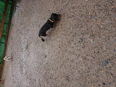 f:id:roukenhome-ann:20190823183850j:plain