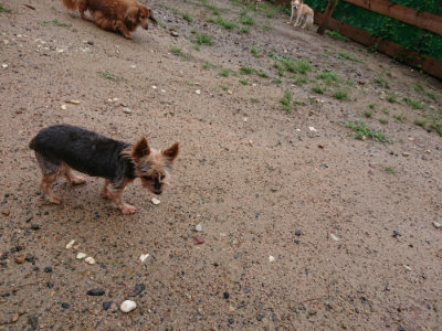 f:id:roukenhome-ann:20190823183925j:plain