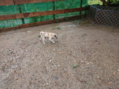 f:id:roukenhome-ann:20190823183940j:plain