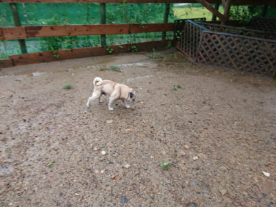 f:id:roukenhome-ann:20190823183948j:plain
