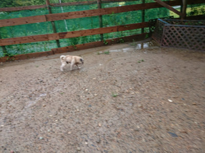 f:id:roukenhome-ann:20190823184026j:plain