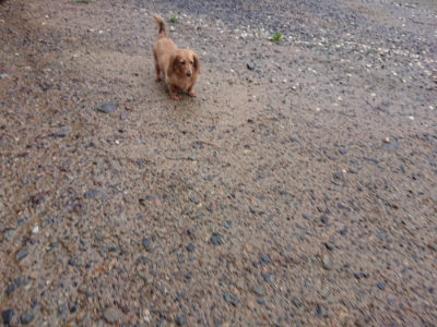 f:id:roukenhome-ann:20190823184302j:plain