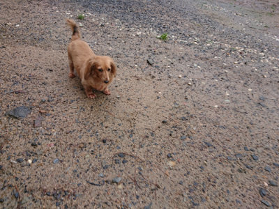 f:id:roukenhome-ann:20190823184310j:plain