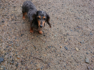 f:id:roukenhome-ann:20190823184317j:plain