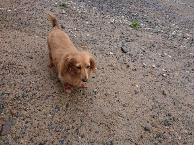 f:id:roukenhome-ann:20190823184325j:plain