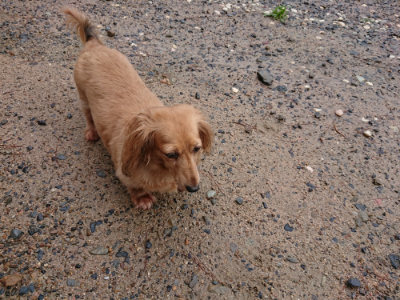 f:id:roukenhome-ann:20190823184335j:plain