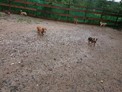 f:id:roukenhome-ann:20190823184342j:plain